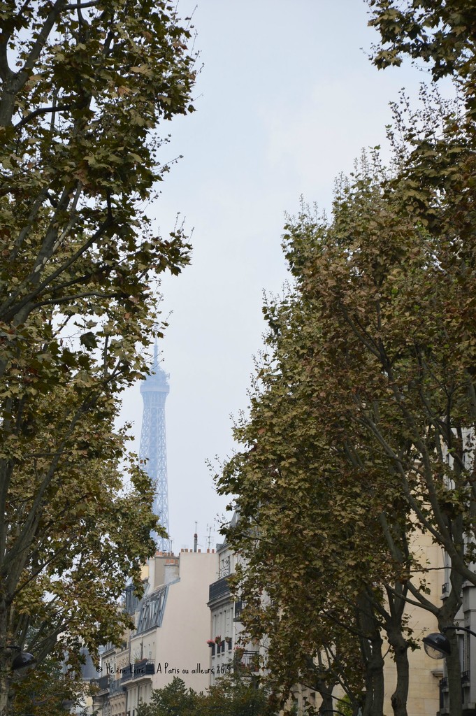 Hide and seek Eiffel tower on a misty day by parisouailleurs