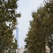 Hide and seek Eiffel tower on a misty day by parisouailleurs