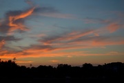 25th Sep 2014 - Sunset, Colonial Lake, Charleston, SC