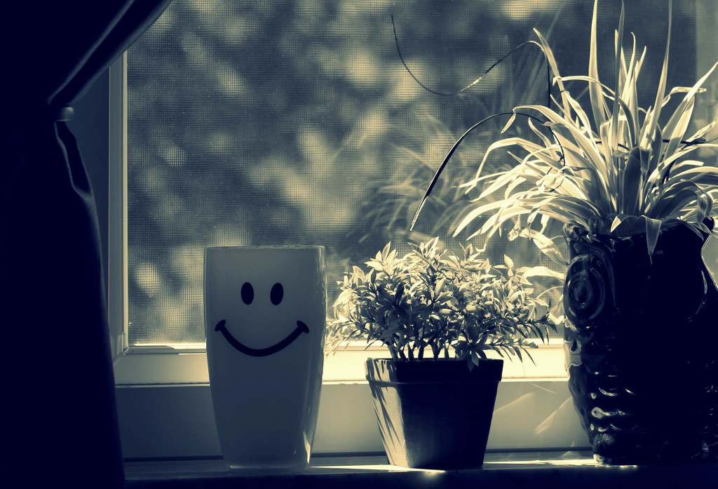 Smiley cup on the window sill by mittens