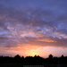 Day 06 -  Sunset by byrdlip