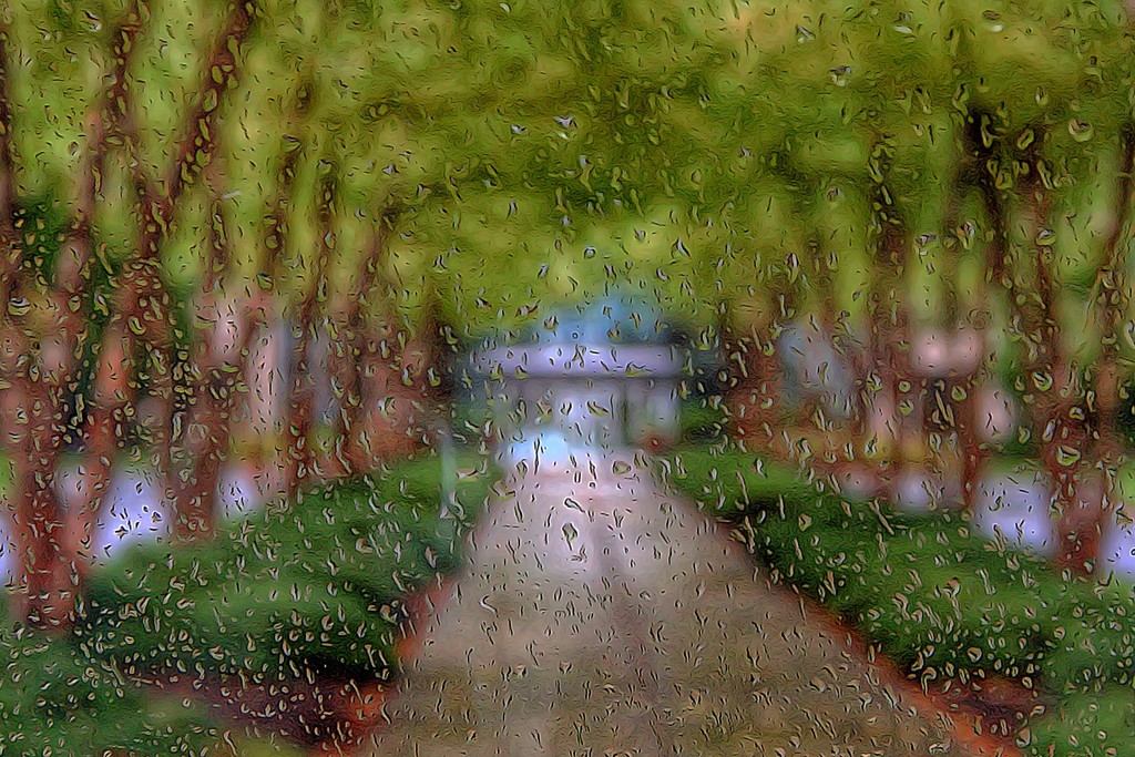 Rainy Walkway by sbolden