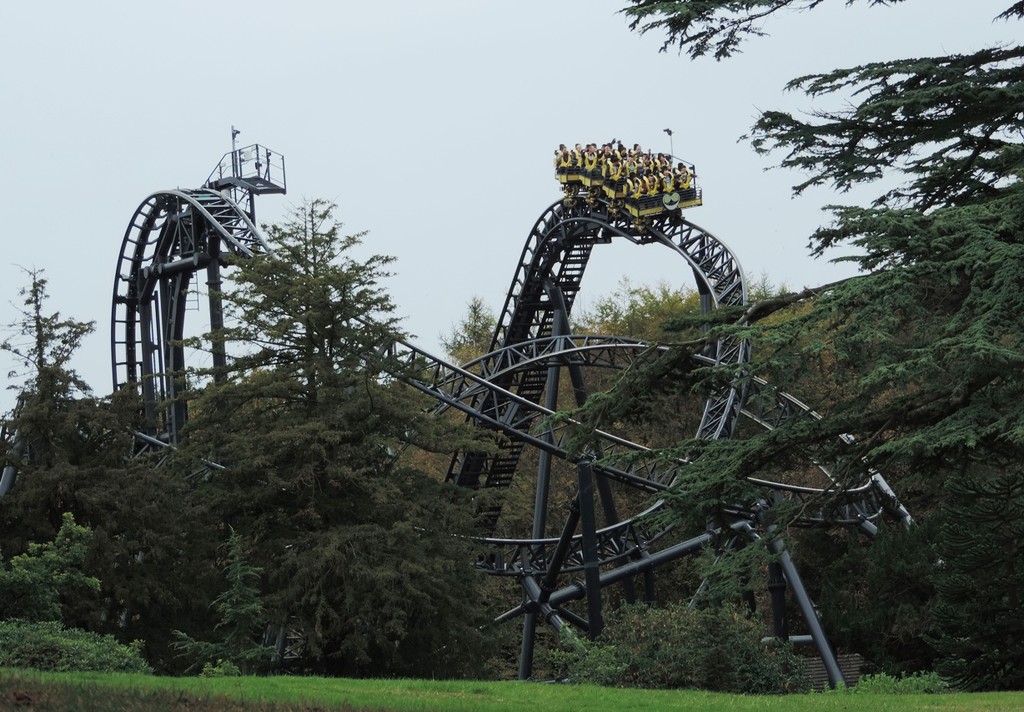 The Smiler by roachling