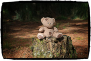 26th Sep 2014 - Teds trip to the forest