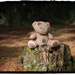 Teds trip to the forest by rustymonkey