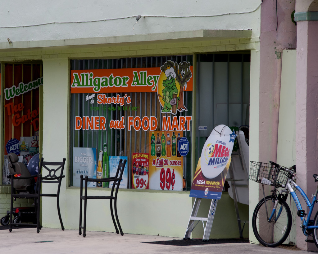 Alligator Alley by eudora