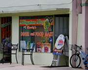 25th Sep 2014 - Alligator Alley