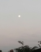 24th Sep 2014 - Morning Moon