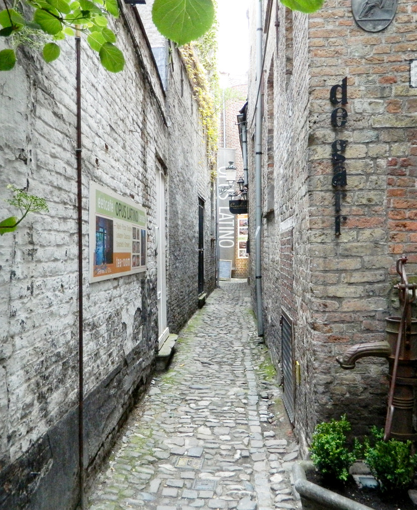 Alley Brugge by sjc88