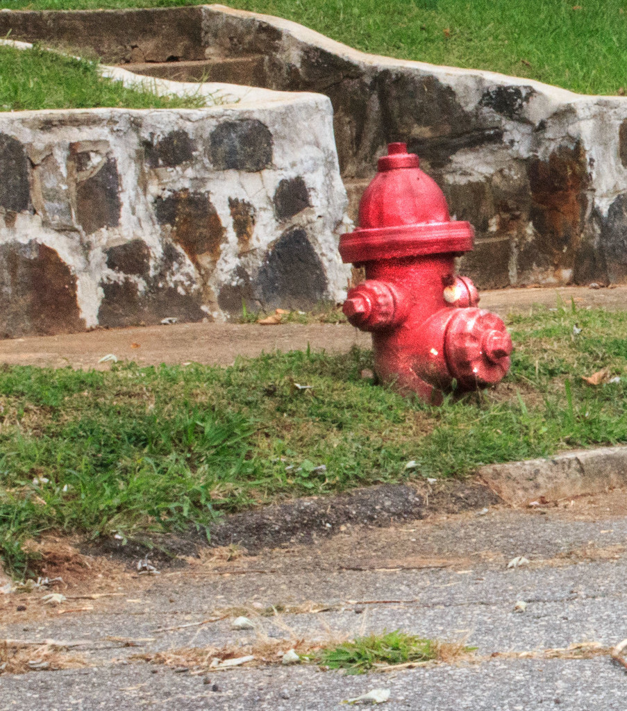 A street view- fire hydrant by randystreat