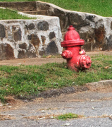 26th Sep 2014 - A street view- fire hydrant
