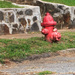 A street view- fire hydrant by randystreat