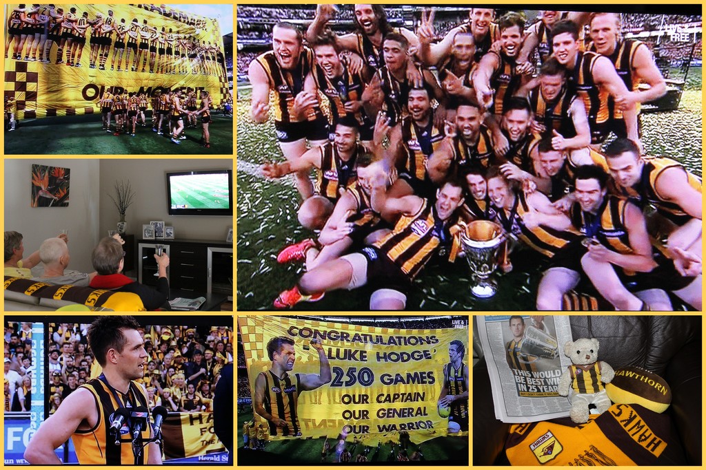 Yeah - Hawthorn are Premiers :) by gilbertwood
