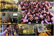 27th Sep 2014 - Yeah - Hawthorn are Premiers :)