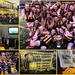 Yeah - Hawthorn are Premiers :) by gilbertwood