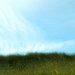 Grass & sky by dianeburns