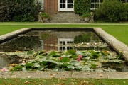 27th Sep 2014 - lily pond and reflections...