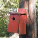 Bird House for Sale: A Real Fixer-Upper by julie