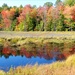 Fall Is Coloring The Wetlands by paintdipper