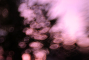 27th Sep 2014 - Pink Bokeh Cloud