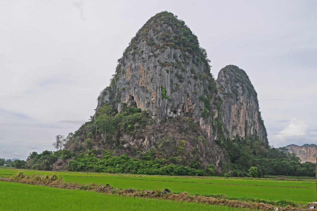 Rock Formation among paddy fields by ianjb21