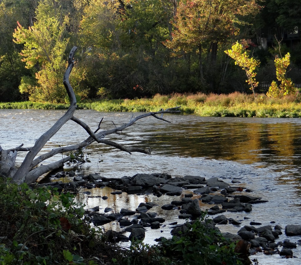St. Joseph River, Elkhart Indiana by annepann