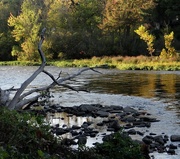 25th Sep 2014 - St. Joseph River, Elkhart Indiana