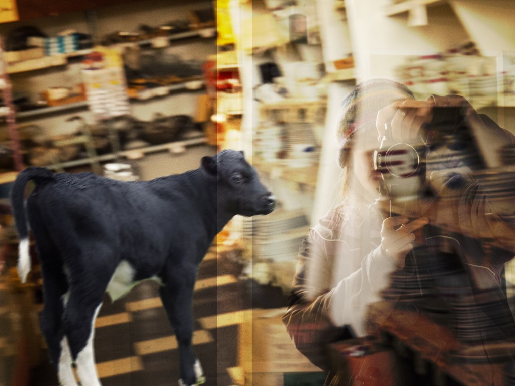 I felt like a bull in a china shop  by fiveplustwo