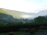 28th Sep 2014 -  Misty View