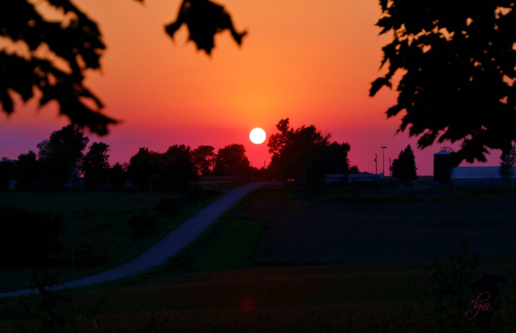 September Sunset by lynnz