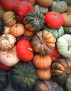 29th Sep 2014 - Day 272:  Gourds