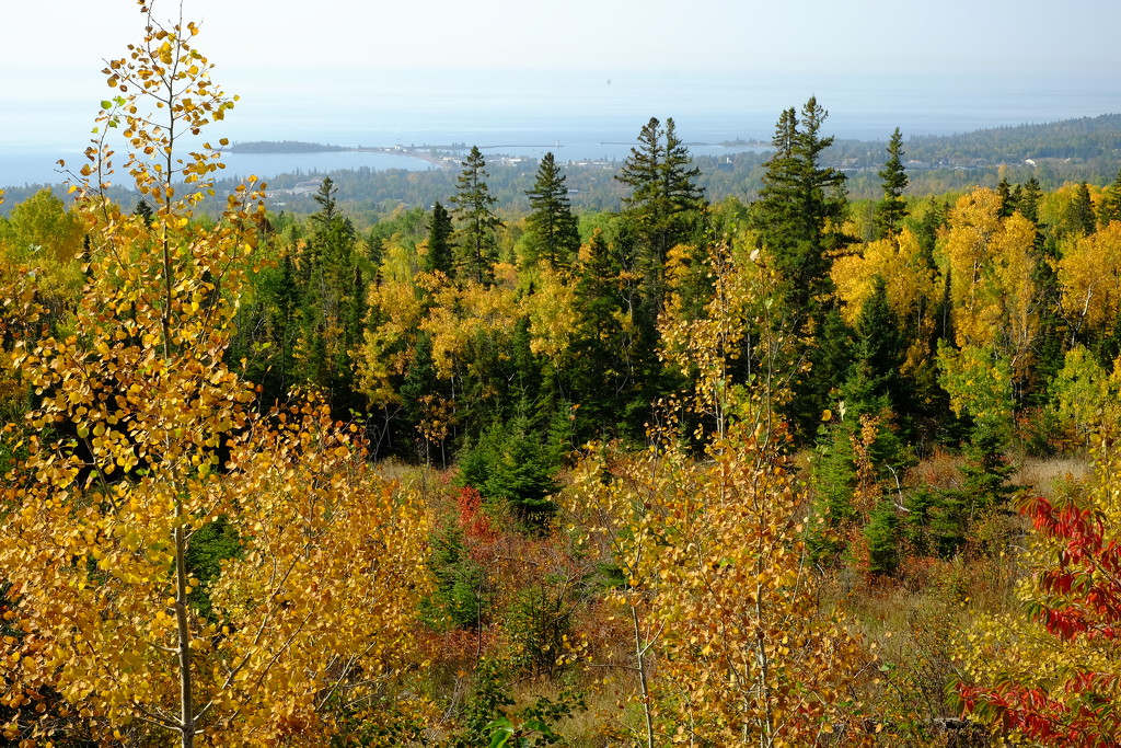 NF-SOOC-September Grand Marais & Harbor from Pincushion Mountain by tosee