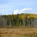 NF-SOOC-September Viewed from the Gunflint Trail by tosee
