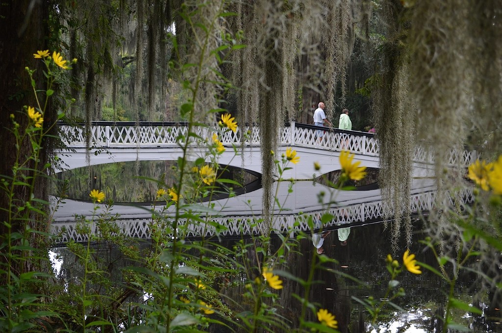 The long white bridge, Magnolia Gardens, Charleston, SC by congaree