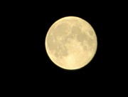 13th Sep 2014 - Moon 5/52