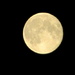Moon 5/52 by filsie65
