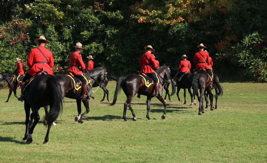 RCMP  Musical Ride by hellie