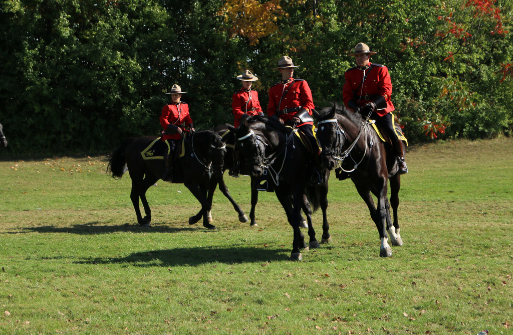 RCMP Musical Ride  by hellie