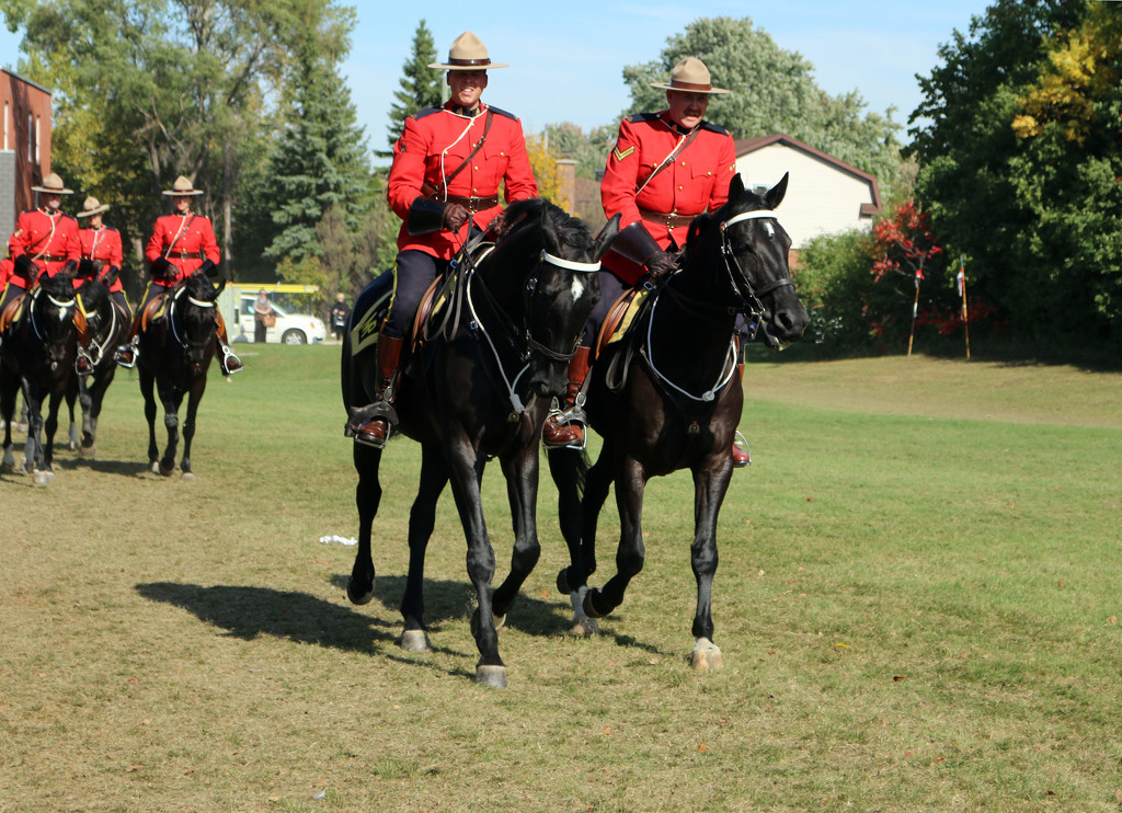 RCMP  Musical Ride  by hellie