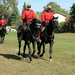 RCMP  Musical Ride  by hellie