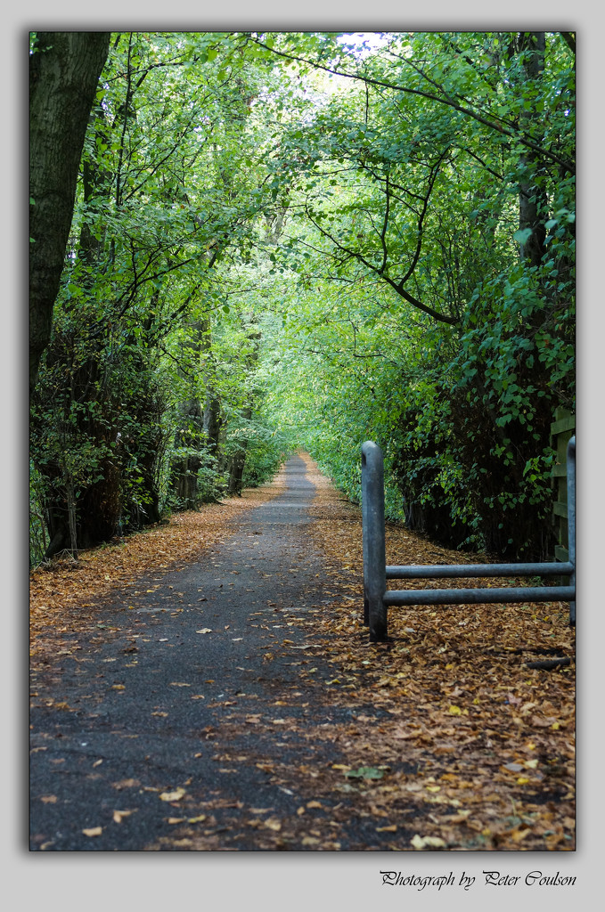 Cycle trackway by pcoulson
