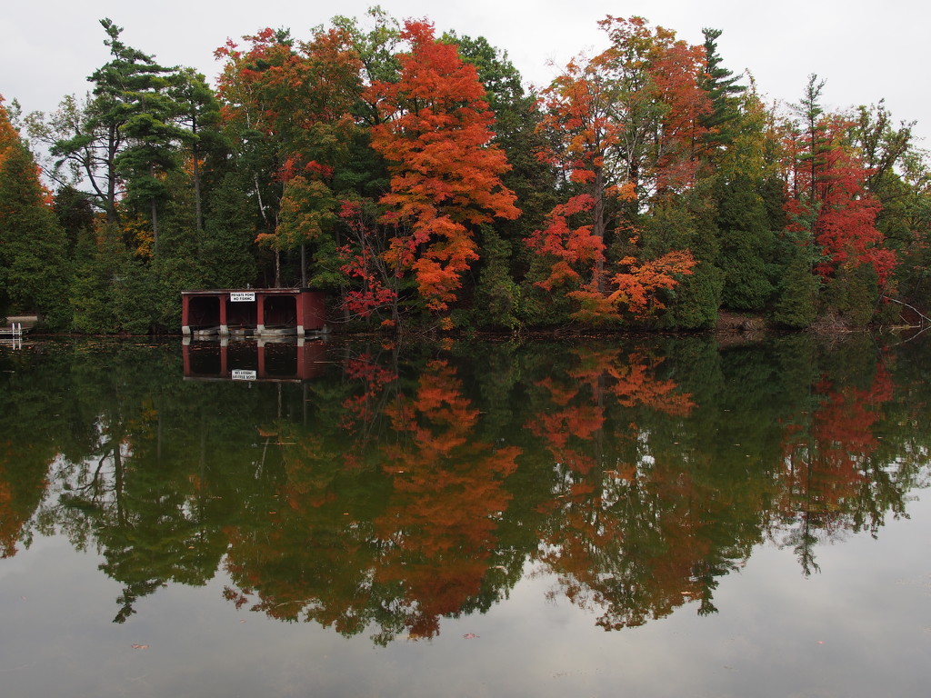 Autumn Reflections by selkie