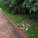Beer cans for recycling bin IMG_3350 by annelis