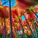 Tiptoe Through the Tulips by annied
