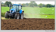 1st Oct 2014 - Ploughing