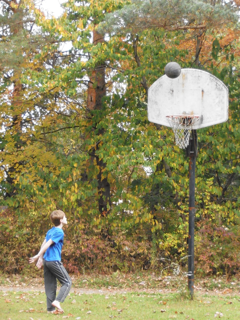 Shooting Baskets by julie