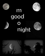 2nd Oct 2014 - Good Night, Moon!