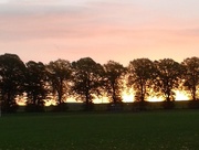 1st Oct 2014 - sunrise glow across the park