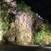 My Brisbane 52 - Kangaroo Point Cliffs at Night by terryliv