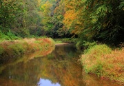 1st Oct 2014 - Autumn Reflections